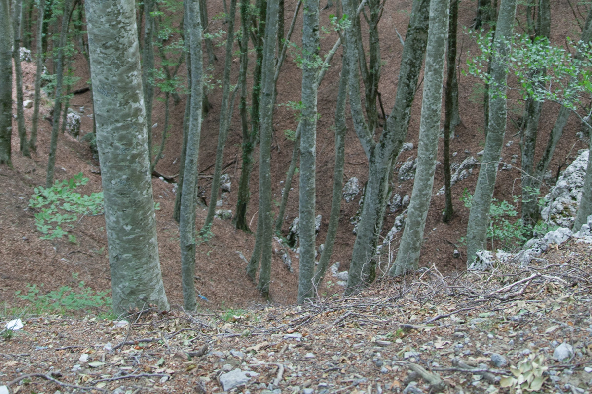 1/13 - f2.8 - iso200