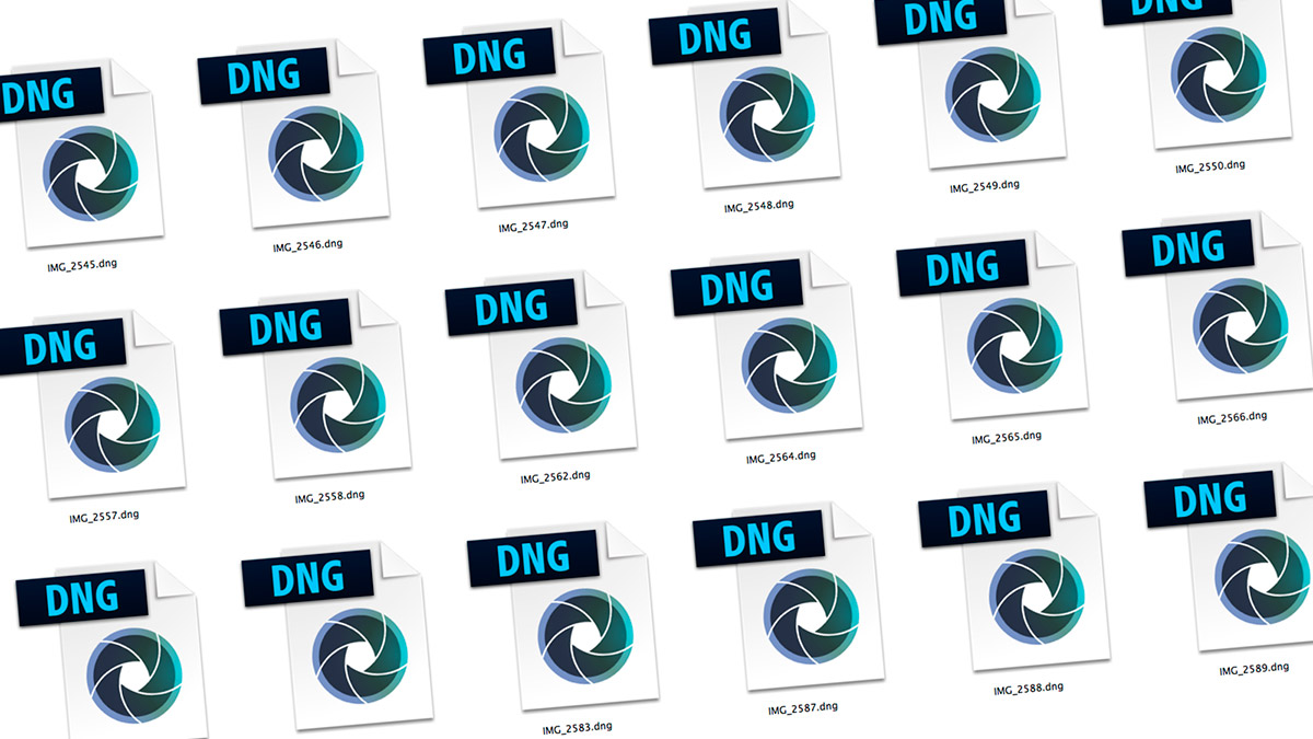 Come elaborare i file nef